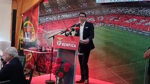 Rui Costa: «Amanhã será uma oportunidade para os reforços perceberem a real dimensão do nosso clube»
