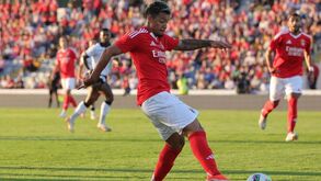 Marcos Leonardo: «Pavlidis? Jogará quem estiver melhor...»