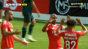 Os golos da vitória do Benfica sobre o Almería