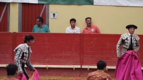 Aficionado: João Neves assiste a corrida de touros