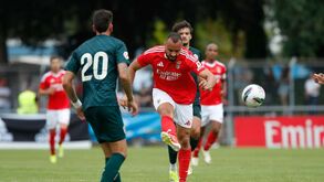 A crónica do Benfica-Almería, 3-1: um flash de talento em modo de chapéu