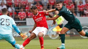 As notas dos jogadores do Benfica diante do Almería: Mestre a ligar percebe grego