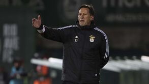 Schmidt lembra contestação na 1.ª época de Benfica: «Fiquei muito surpreendido, talvez chocado...»