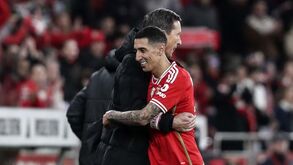 Roger Schmidt elogia 