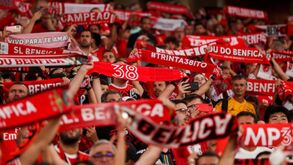 Benfica lança programa de vantagens para adeptos que não são sócios