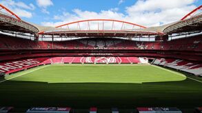 Relvado do Estádio da Luz pronto para receber o Benfica-Brentford: veja as imagens
