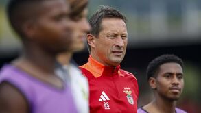 Esboço da águia mostra-se na Luz