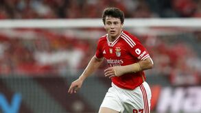 João Neves vai receber entre 5 e 8 milhões no Paris SG