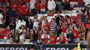 Treinador do Brentford elogia Benfica: «É impressionante estarem mais de 40 mil num particular»