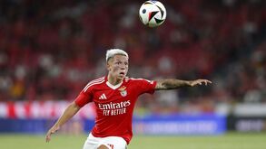 Roger Schmidt agradado: Prestianni é para ficar no plantel do Benfica