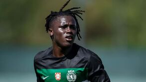 Quenda cresce na ala antes de ajudar a base