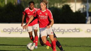 Schjelderup ainda demora: lesão do extremo do Benfica é mais grave do que se pensava