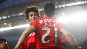 Pizzi aconselha João Félix: «Estilo do At. Madrid não o favorecia, mas o jogador tem que adaptar-se ao que o treinador quer»