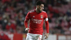 Pizzi elege melhor onze com que jogou na carreira: Benfica domina as escolhas