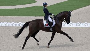 Portugal no sexto lugar provisório na competição por equipas de dressage