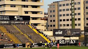 Famalicão-Deportivo interrompido devido a um ataque de abelhas na bancada visitante