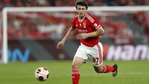 Acordo por João Neves: Benfica e PSG já trocam documentação para finalizar negócio