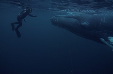  "Foi ali um momento de adrenalina, mas que acabou como um momento surreal"