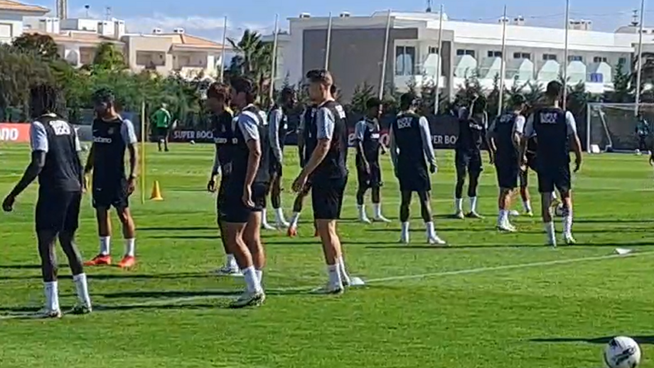 Leões estão concentados em Lagos, no Algarve