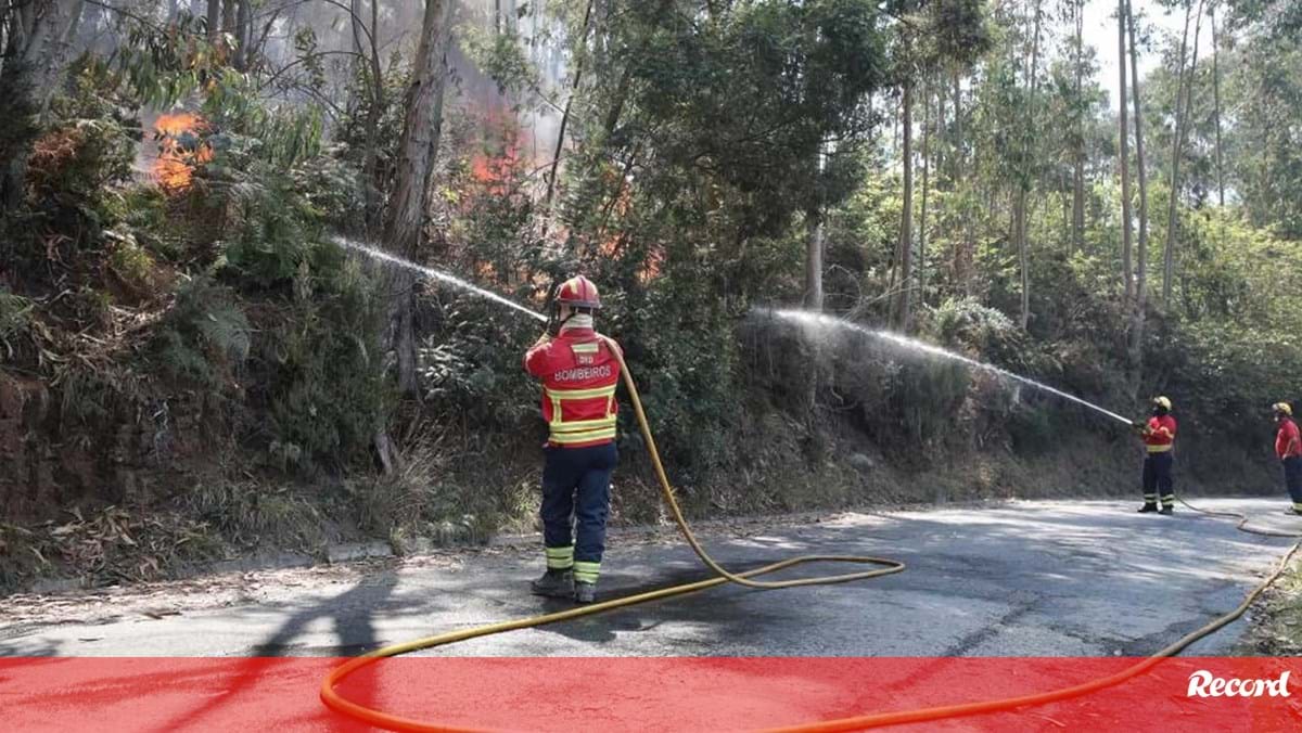 Marítimo solidário com vítimas dos incêndios na Madeira