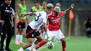 Benfica-Fulham, 0-1