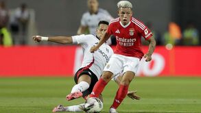 As notas dos jogadores do Benfica frente ao Fulham: o miúdo quer muito estar ali