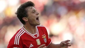 Benfica informa que transferência de João Neves para o PSG está 