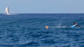 Uma convidada inesperada: Baleia à espreita nas decisões do surf no Tahiti
