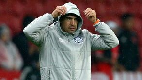 «Abel Ferreira merece todo o respeito que nem sempre têm por ele»: a análise ao momento do Palmeiras
