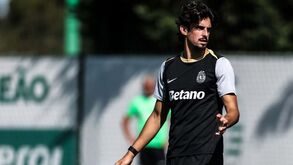Trincão não vai ser operado: extremo sem lesão grave e pronto a ir a jogo com o Rio Ave