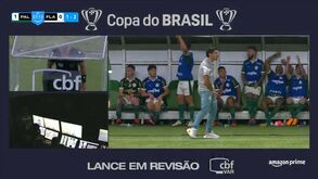 Abel Ferreira agarrou nos genitais e foi expulso... após intervenção do VAR
