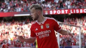 Tengstedt deixa Benfica e reforça Verona com opção de 7 milhões