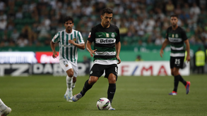 As notas dos jogadores do Sporting frente ao Rio Ave: Pote cheio de gelo e um Gyö insaciável