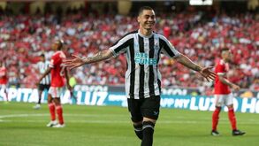 Emissários em Inglaterra: Charlotte FC sonha com Miguel Almirón