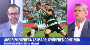 Bernardo Ribeiro: «Gyökeres entende que o melhor é ficar mais um ano no Sporting e jogar Champions»