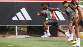 «Renato Sanches pode ser o factor que liga equipa às bancadas e veremos se pode ser o salvador de Schmidt»