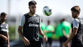 Saldo entre vendas e compras está negativo para os lados de Alvalade