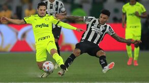 Botafogo de Artur Jorge vence Palmeiras de Abel e está em vantagem na Libertadores
