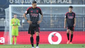 Baixa no Benfica: Di María falha jogo com o Casa Pia devido a lesão