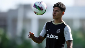 Mateus Fernandes fechado no Southampton: os números do negócio