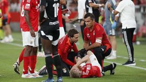 Benfica com 8 lesionados: lista tem Trubin, António Silva e Tomás Araújo