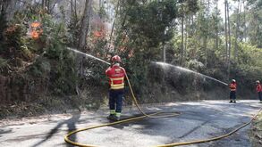 Marítimo solidário com vítimas dos incêndios na Madeira