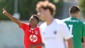 A crónica do Benfica-Académica, 5-0: Dilan vezes três