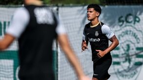 Sporting já faturou 172 milhões aos clientes ingleses só em jogadores formados na Academia