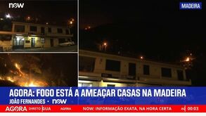 Now garante melhor semana de sempre e cresce 47% desde a estreia