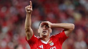 Ex-colega avalia continuidade de Tiago Gouveia na Luz: «Vejo-o como titular e importante no Benfica»