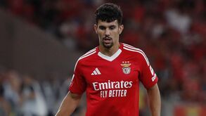 Crystal Palace quer Tomás Araújo