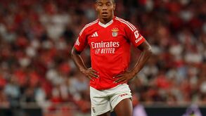 Benfica e Nápoles já trocam documentação: David Neres esperado domingo em Itália