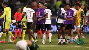 Botafogo provoca Palmeiras após eliminar equipa de Abel Ferreira na Libertadores: «É hora de dar tchau»