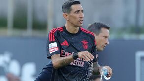 Di María e Trubin aptos para o jogo com o Estrela da Amadora